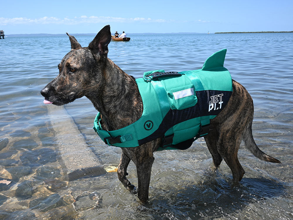 How to Choose the Perfect Size Life Jacket for Your Dog | Jetpilot Water & Work