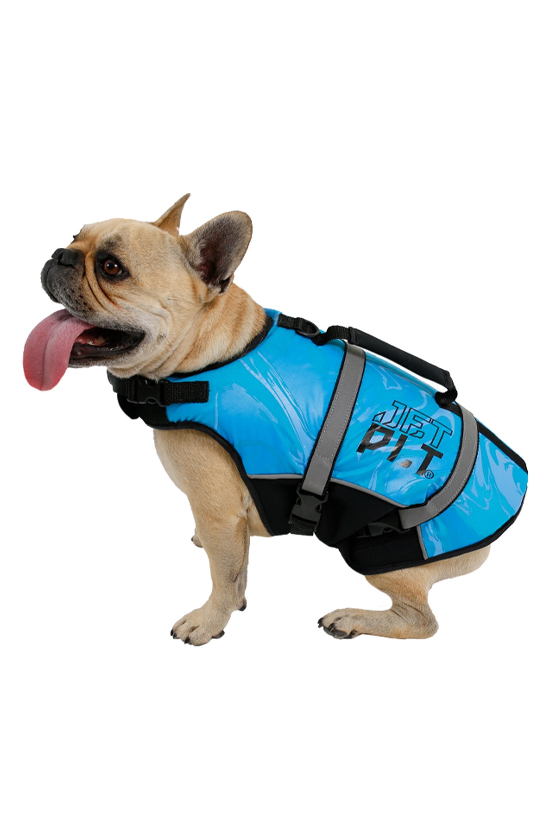 Jetpilot Dog PFD - Blue — image 2