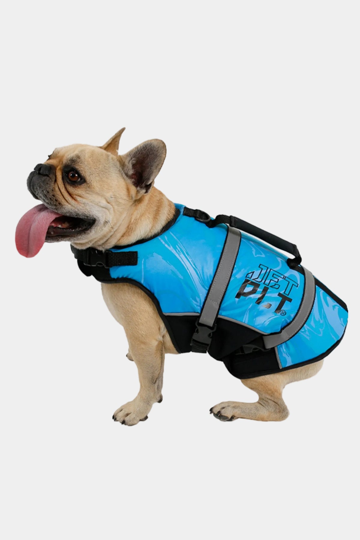 Jetpilot Dog PFD - Blue — image 2