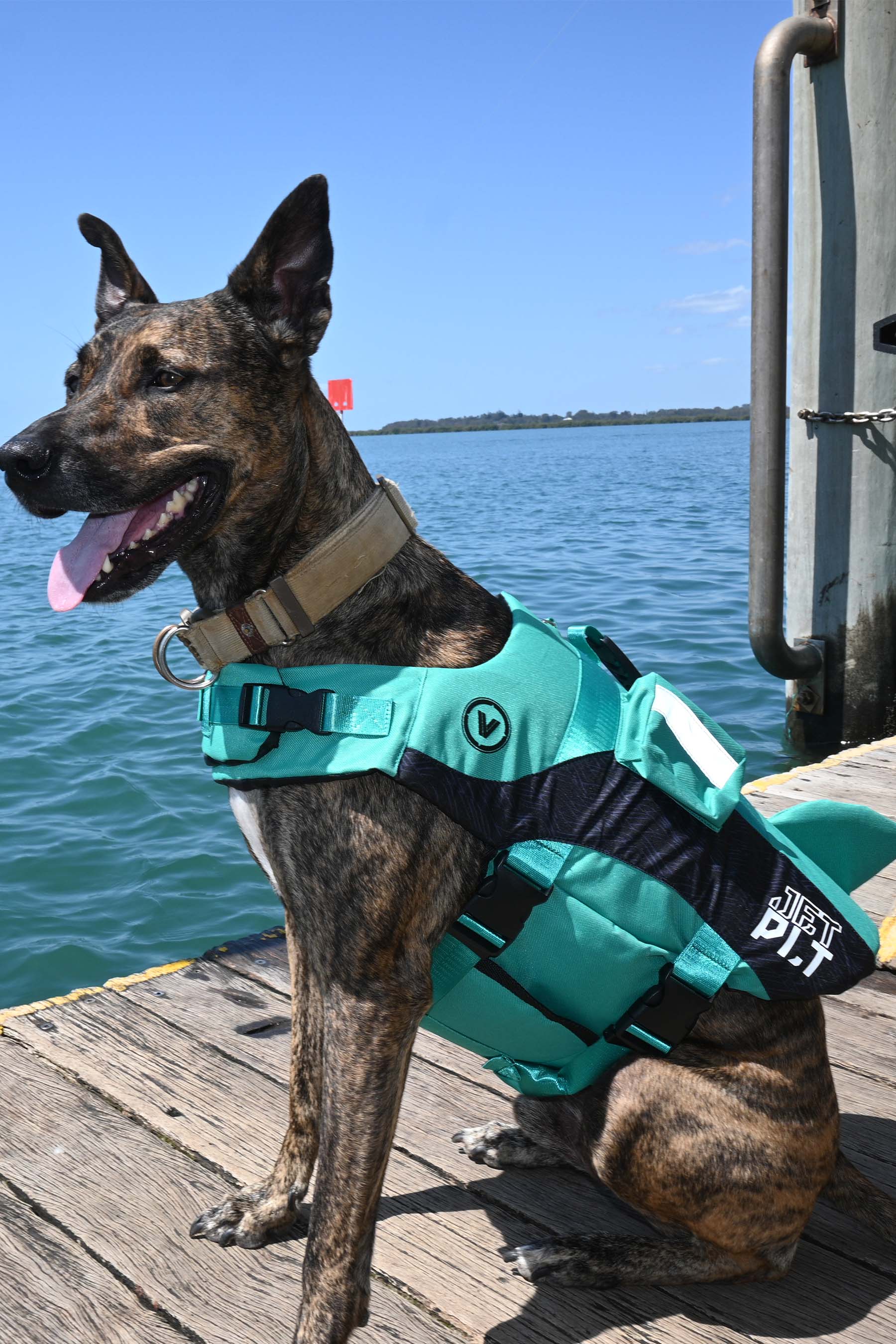 Jetpilot Venture Dog PFD Life Jacket - Teal - 3