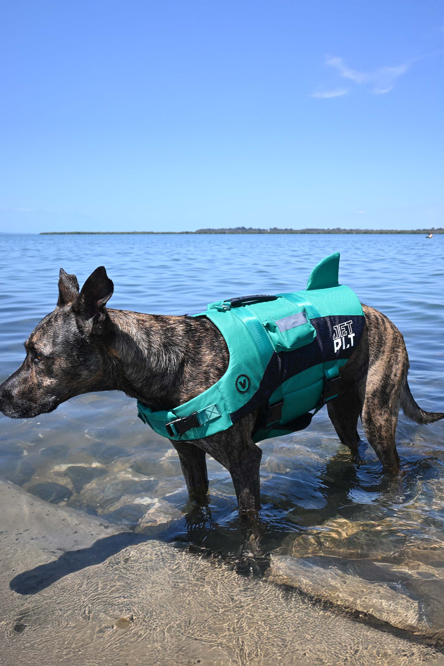 Jetpilot Venture Dog PFD Life Jacket - Teal - 5