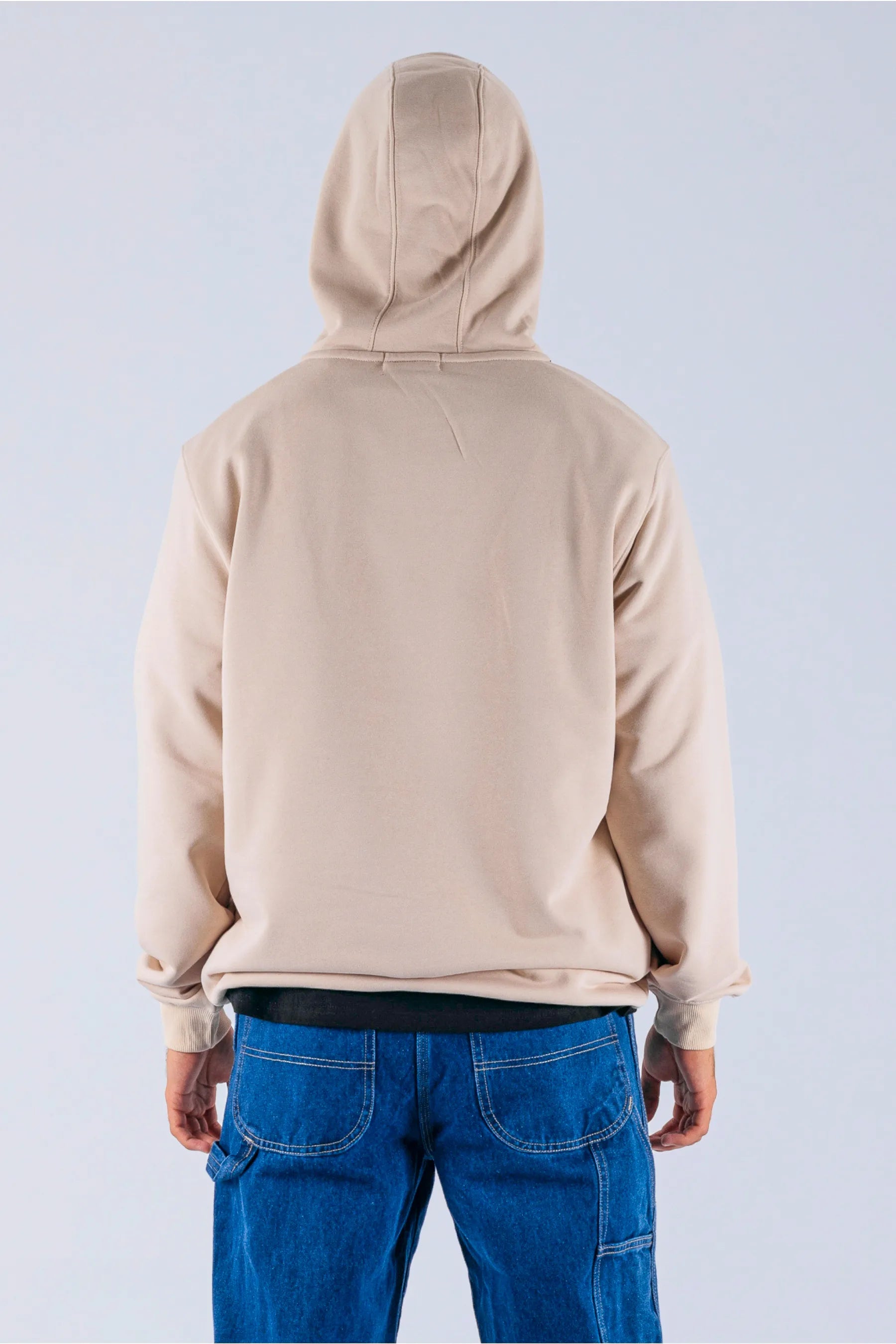 back view of a person wearing a cement pullover with a Jetpilot logo on a white background — view 2 (3)