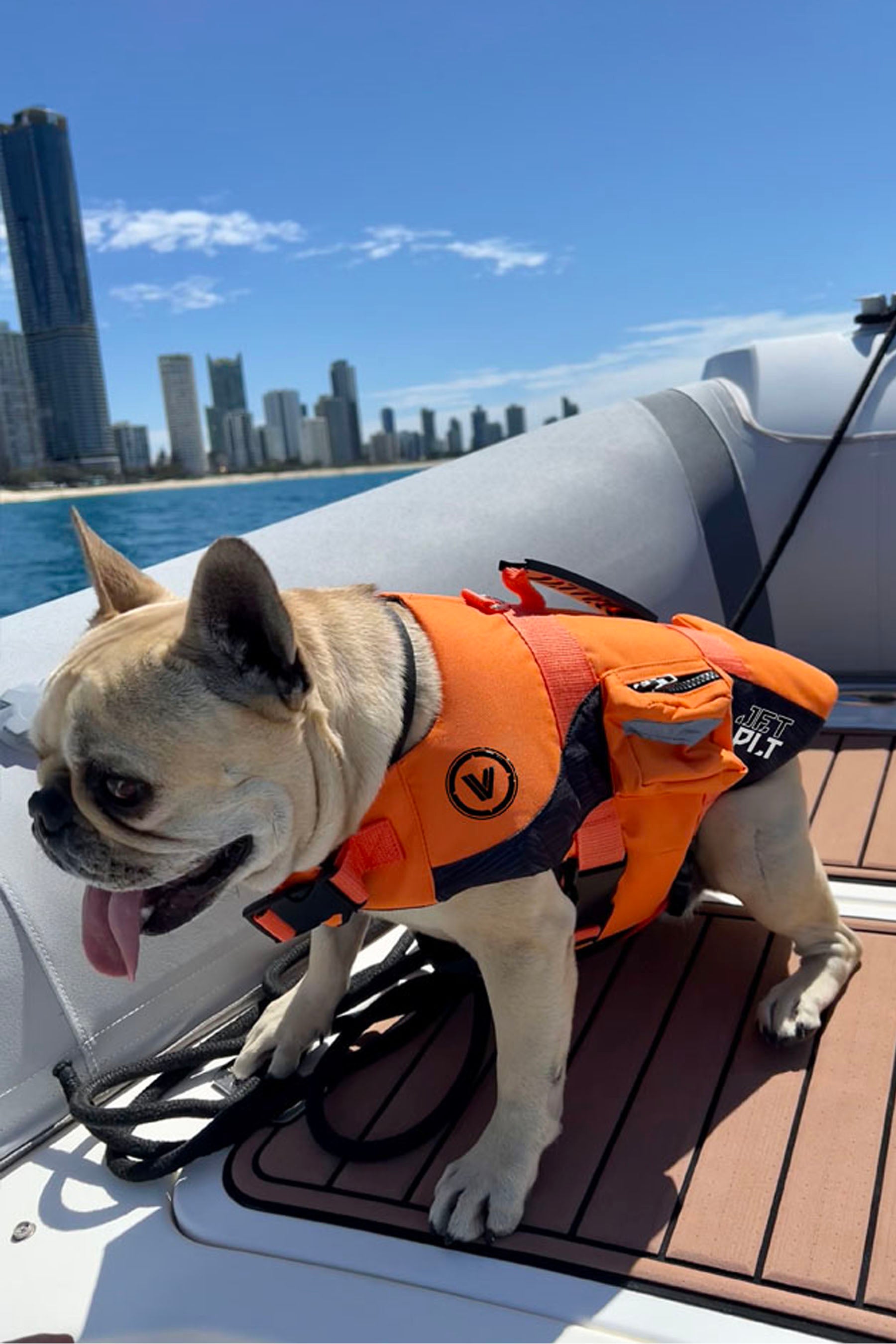 Jetpilot Venture Dog PFD Life Jacket Orange 600D