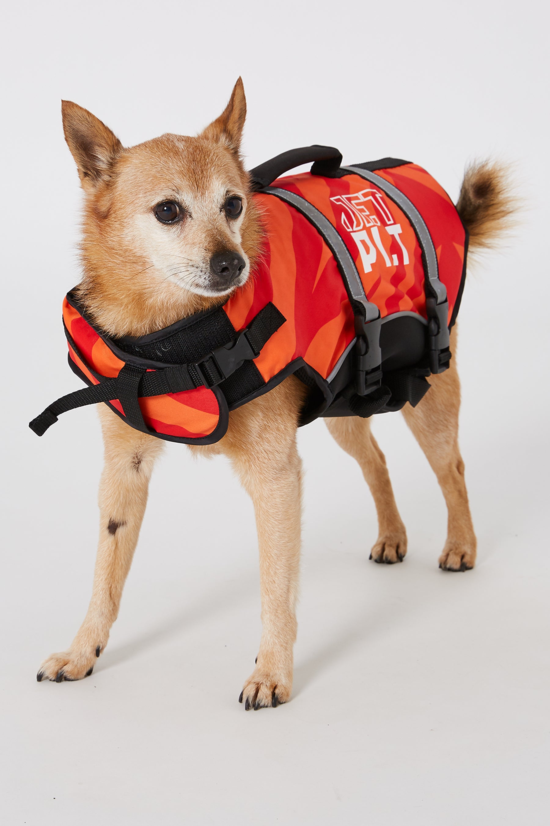 Jetpilot Dog PFD - Red