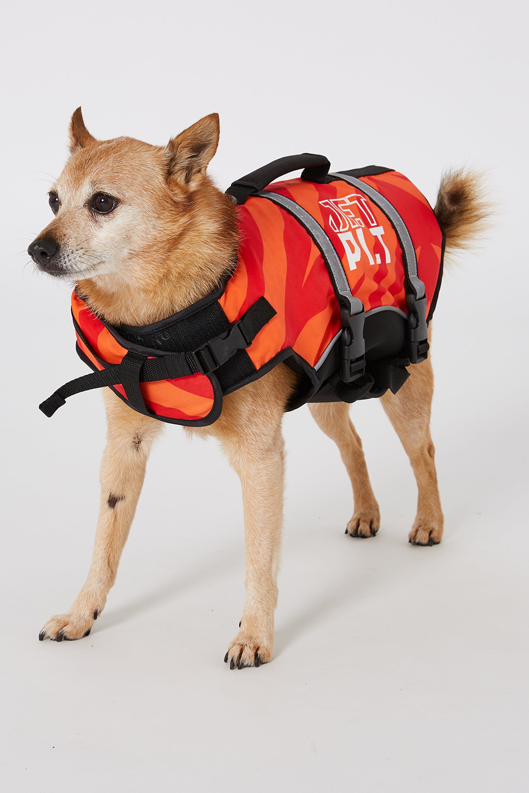 Jetpilot Dog PFD - Red