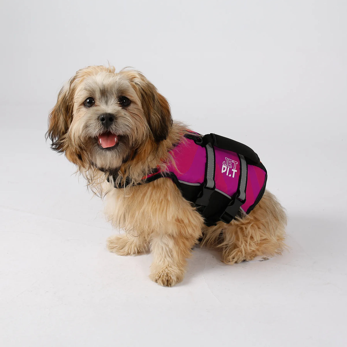 ジェットパイロット JETPILOT ドッグ ベスト DOG PFD JA23012-1 ピンク