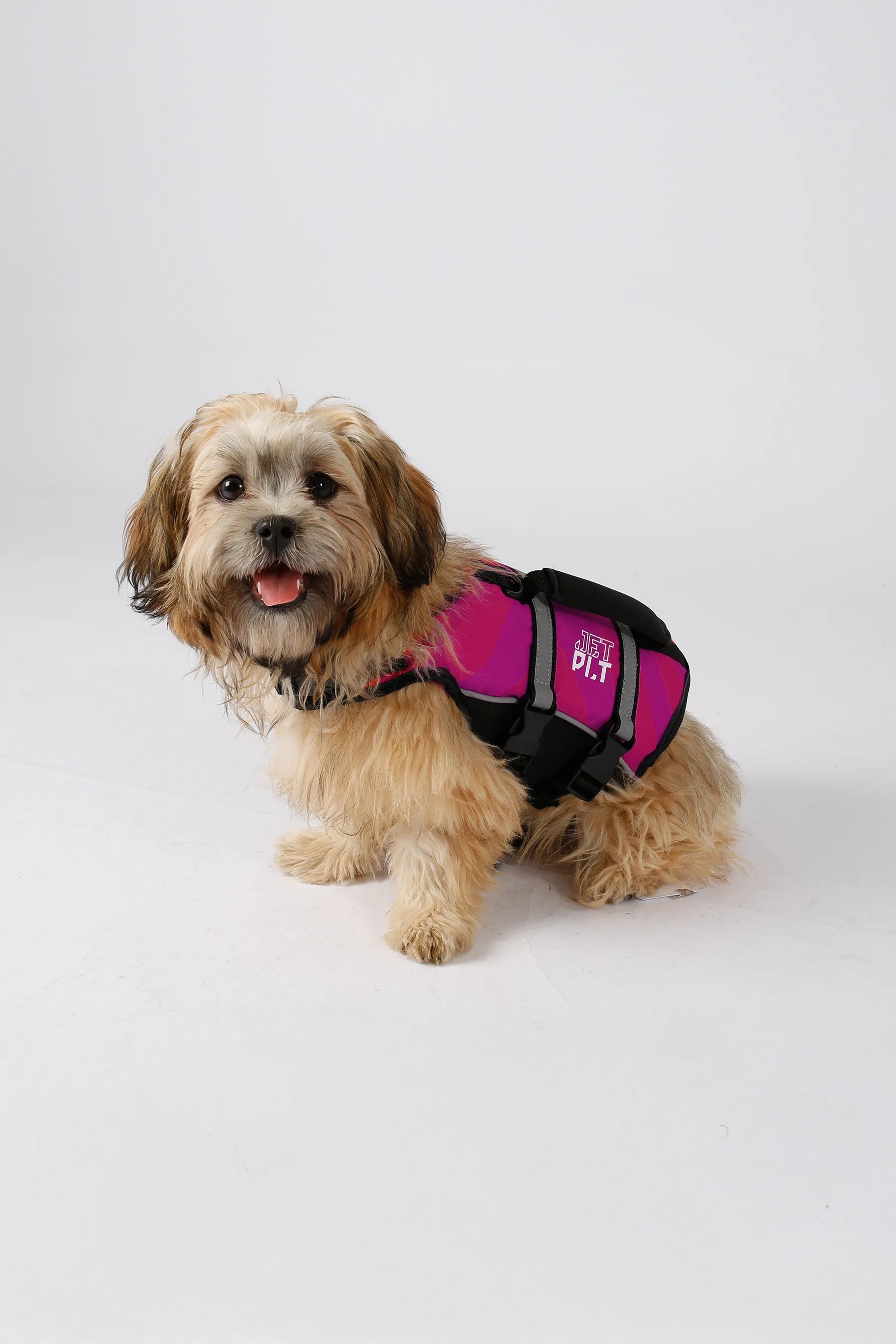 Small dog wearing a pink and black jetpilot dog life jacket on a white background — image 2