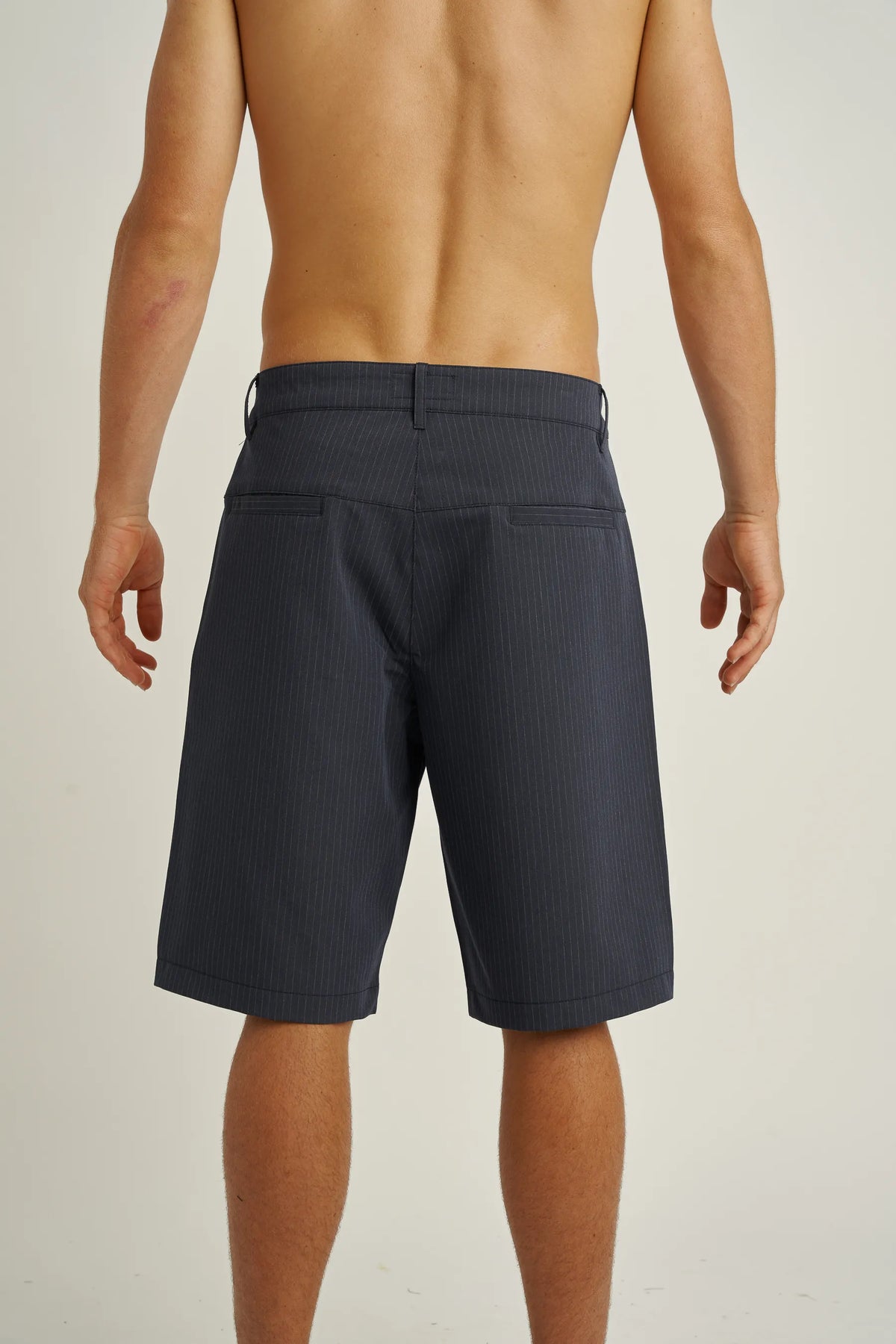 Jetpilot Check Ya mens walk shorts in Pinstripe — back view