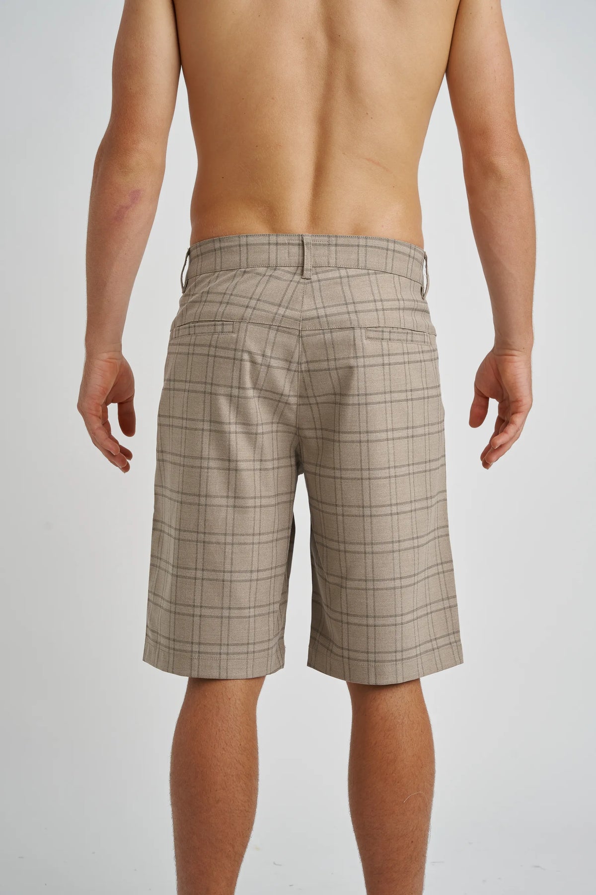Jetpilot Check Ya mens walk shorts in Plaid — back view